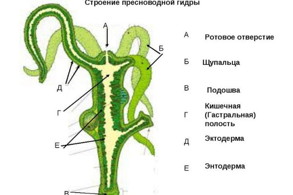 Кракен ссылка в тор