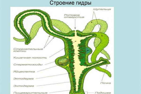 Кракен пользователь не найден что делать