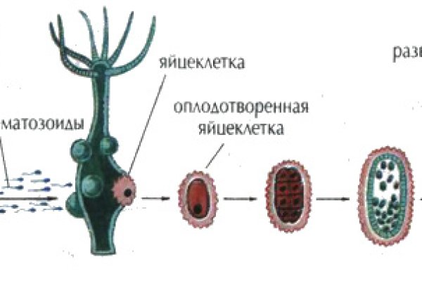 Кракен шоп зеркало