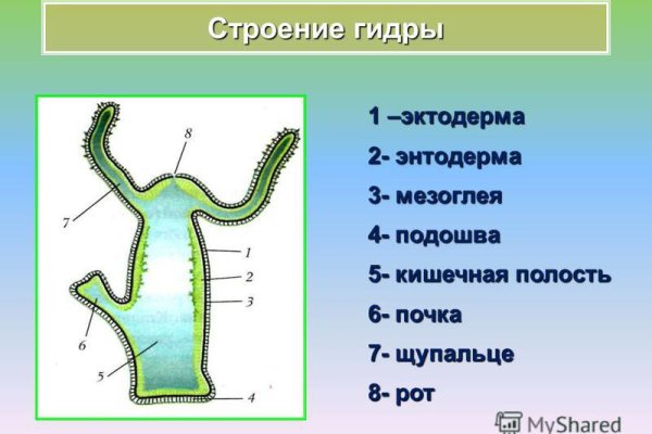 Как закинуть деньги на кракен